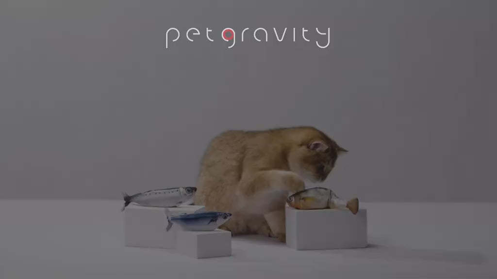 Interactive Cat Toys – Small Floppy Fish, Catnip, Rechargeable